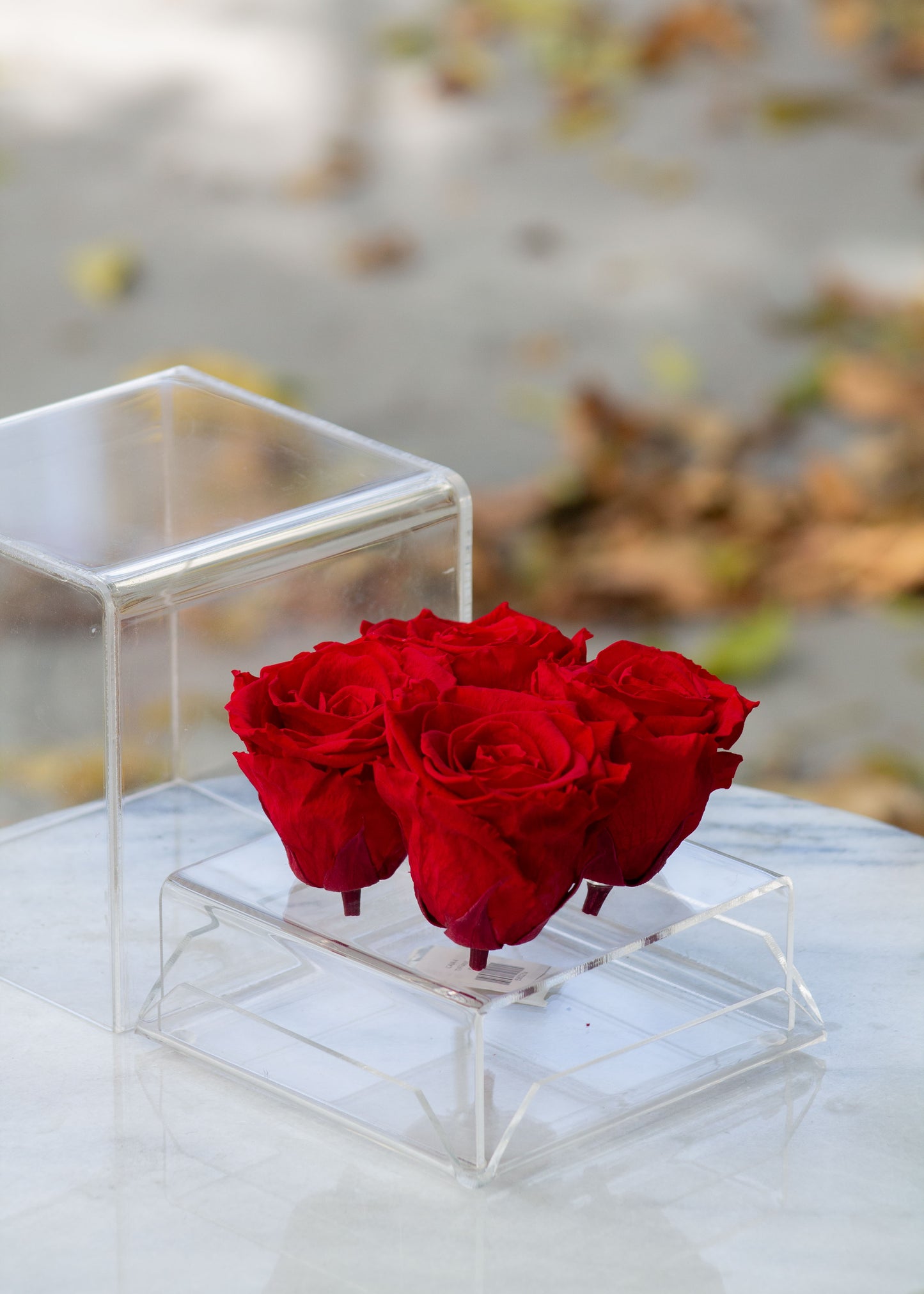 Caja Acrílico con 4 Rosas Preservadas